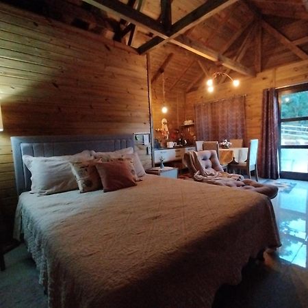 Tiny House Canjerana - Cabana Com Vista Dos Canyons Praia Grande  Exterior foto